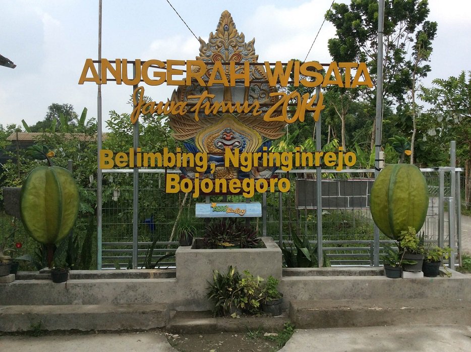 Agrowisata Belimbing Bojonegoro