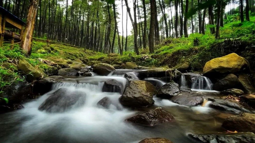 Klurak Eco Park Mojokerto wisata ramah anak
