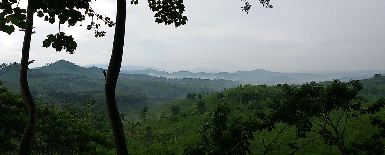 Wisata Gunung Gumitir