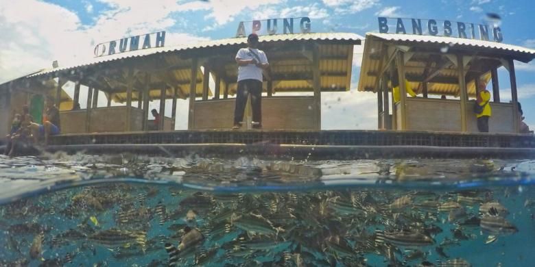 Bangsring Underwater Banyuwangi