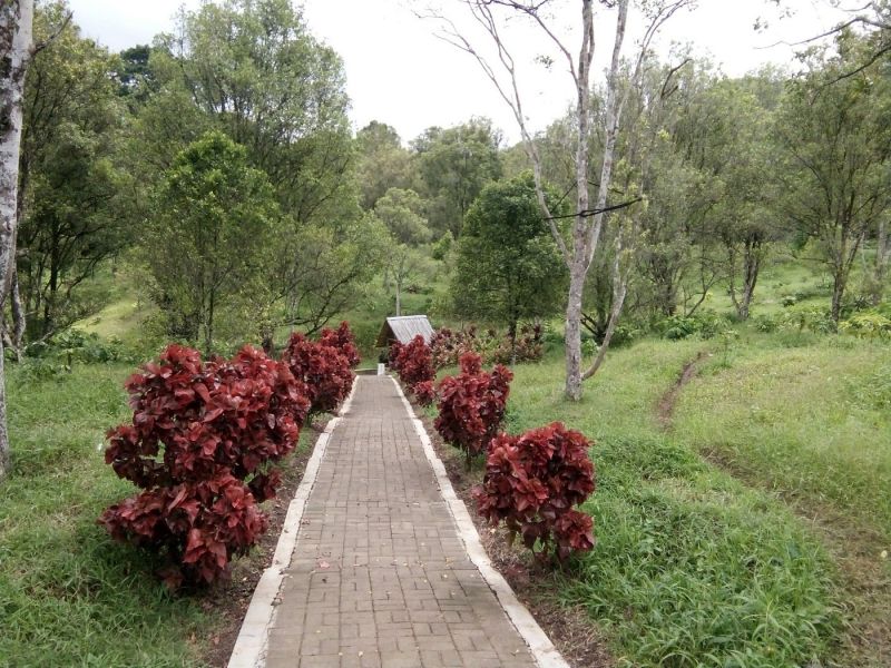 Wisata Kebun Kopi Kalibendo Banyuwangi