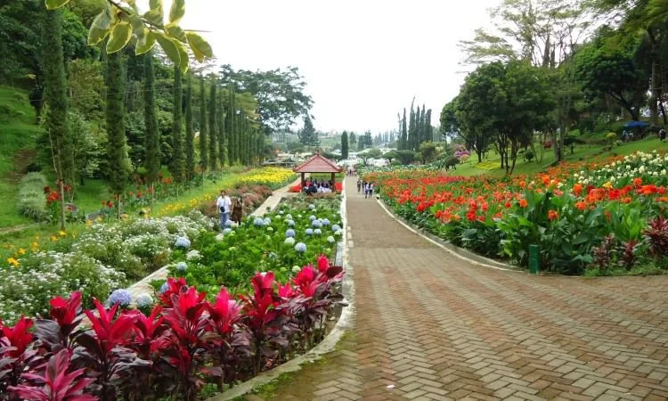 Agrowisata Bawang Merah Nganjuk