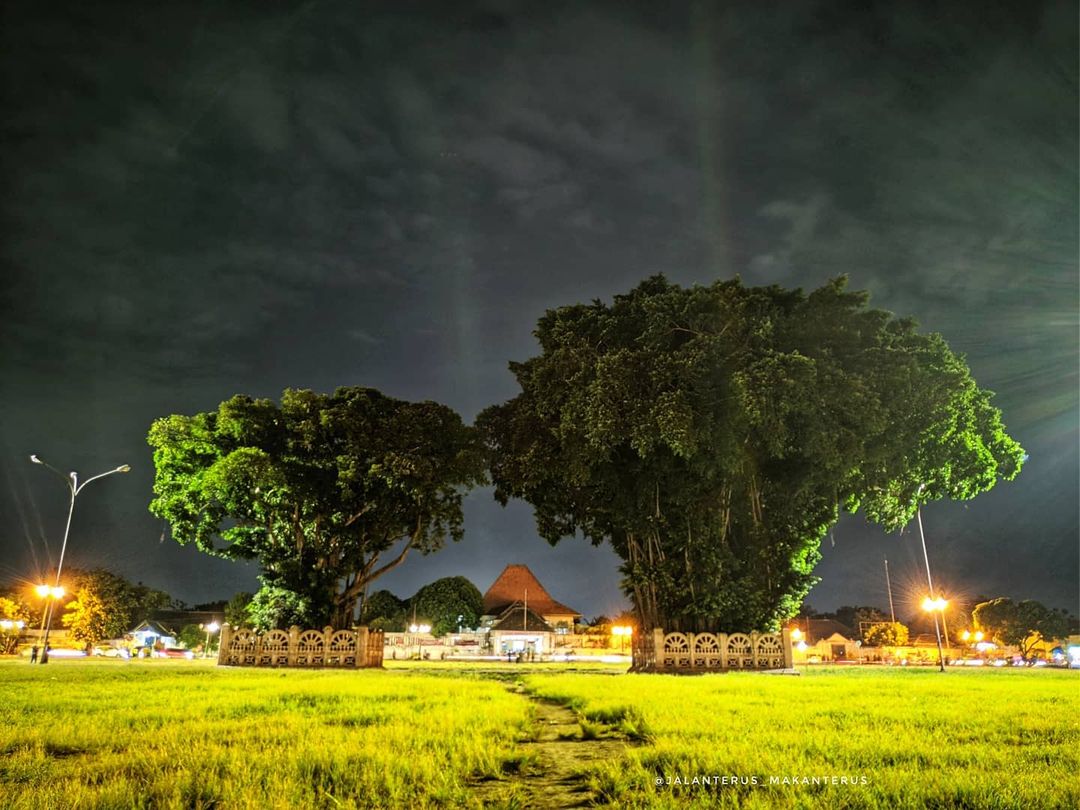 Wisata sekitar Malioboro  Alun-Alun Kidul Jogja