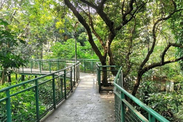 Forest Walk Bandung