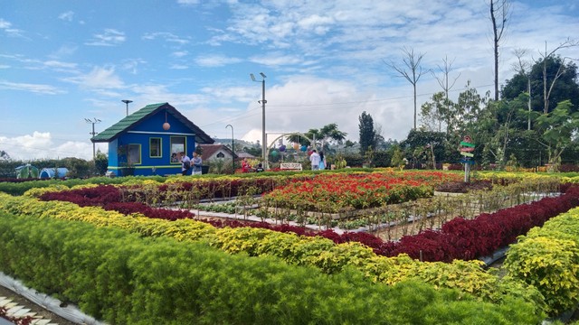 Taman Bunga Bee Park
